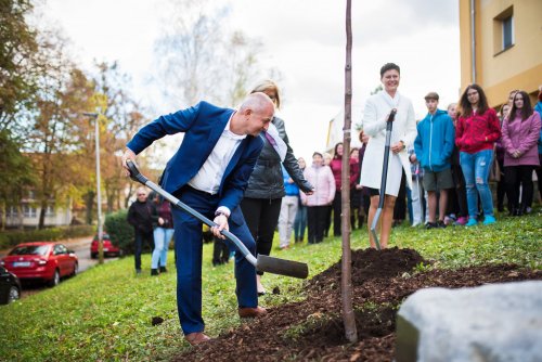 Slavnostní výsadba Stromu svobody 21  