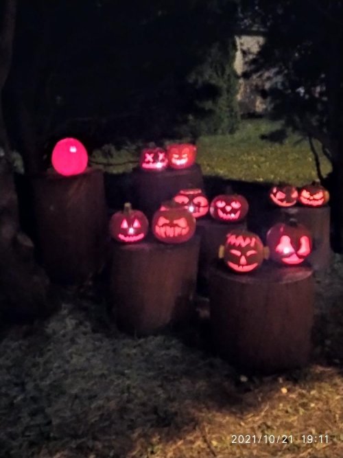 Soutěž ve vyřezávání halloweenských dýní 18  