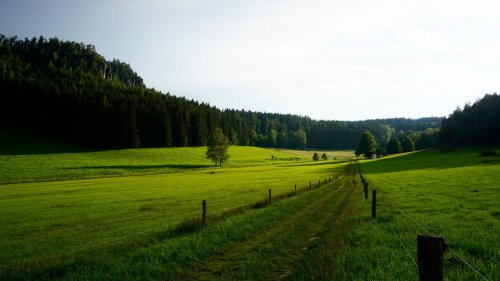 Úspěch oboru Fotograf 1  