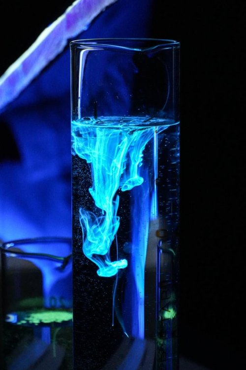 Tematická exkurze: Chemie pro obor kosmetické služby – návštěva UTB 9  