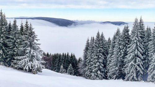 Lyžařský zájezd - Ramzová 13  