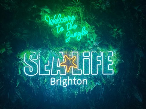 Toulky jižní Anglií 17  