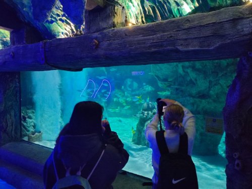 Toulky jižní Anglií 24  