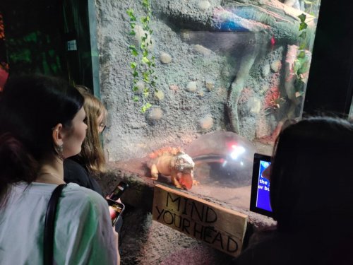 Toulky jižní Anglií 18  