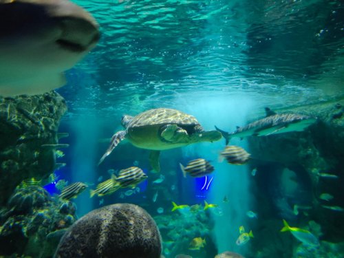 Toulky jižní Anglií 23  