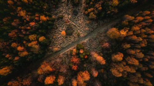 Úspěch oboru Fotograf 2  