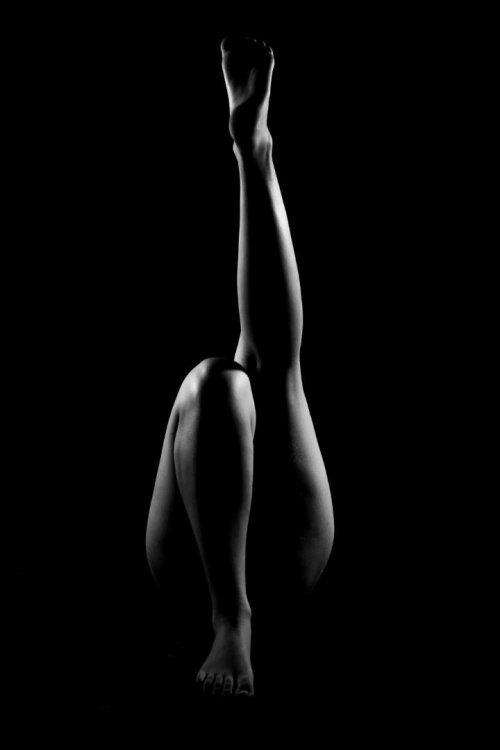 Úspěch oboru Fotograf 4  