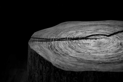 Úspěch oboru Fotograf 1  