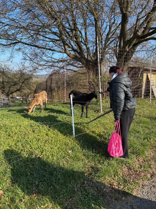 Sportovně-ekologický den 5  