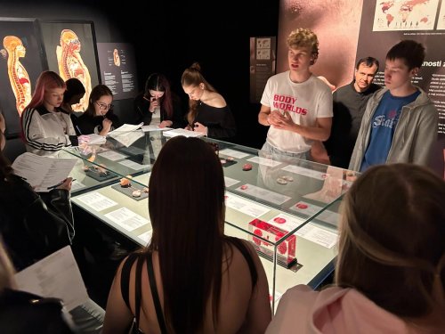 BODY WORLDS - výstava 5  