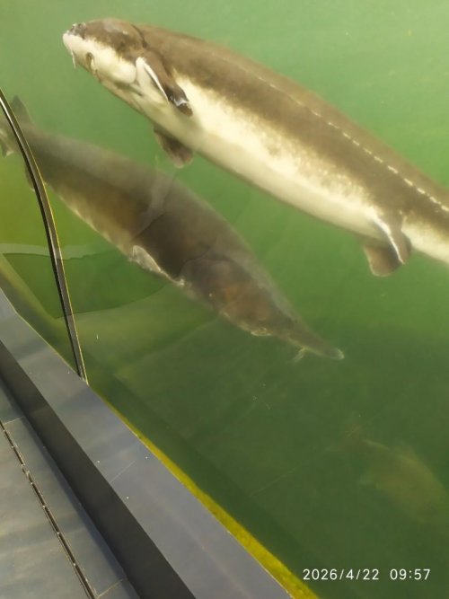 Exkurze Moravský kras 5  