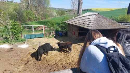 Exkurze Moravský kras 10  