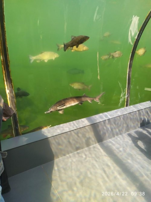 Exkurze Moravský kras 4  