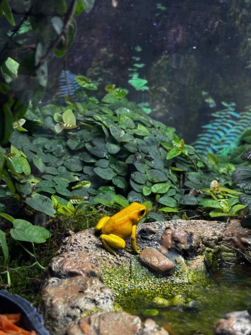 návštěva ZOO Lešná 9  