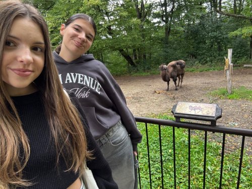 návštěva ZOO Lešná 12  