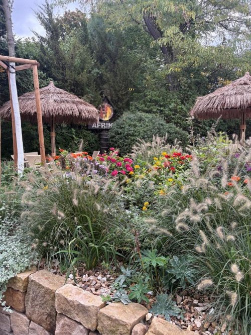 návštěva ZOO Lešná 5  
