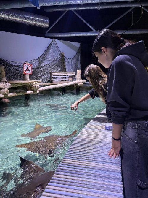 návštěva ZOO Lešná 4  