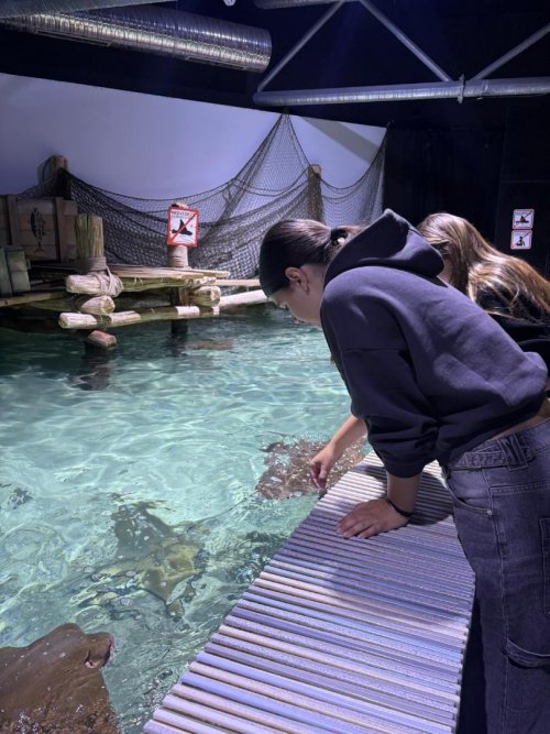 návštěva ZOO Lešná 2  
